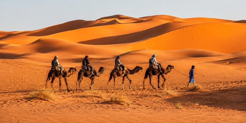 Camel caravan crossing sand dunes near Merzouga