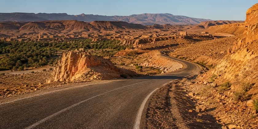 Desert-edge roads and open habitats around Merzouga offer opportunities for specialist birding.